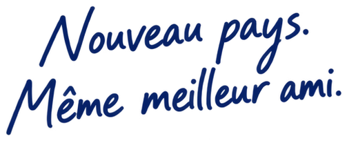 Nouveau pays. Même meilleur ami.